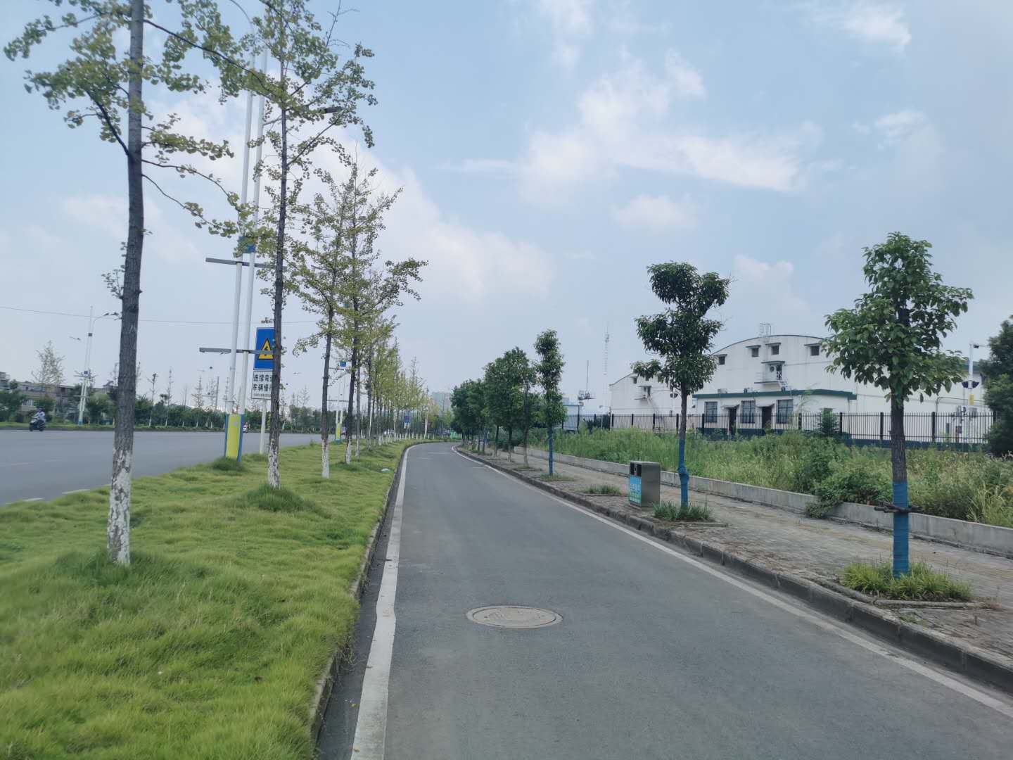 羅家橋綠化-03